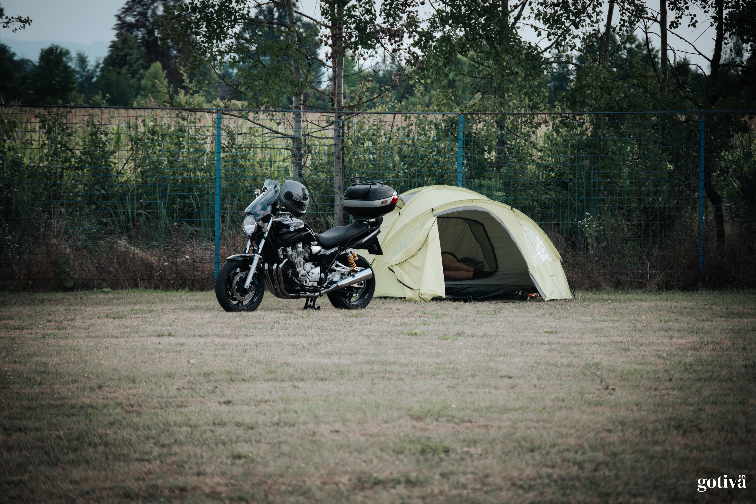MKTriumph 234